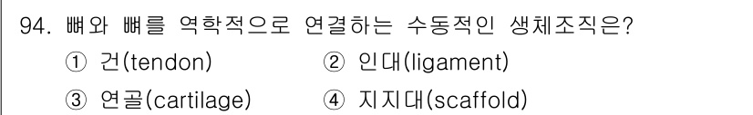 의공산업기사 2015년 94번 - 정답은 2번 인대(ligament)입니다. 인대는 뼈와 뼈를 연결해 주는... 에 관한 핵심 기출문제