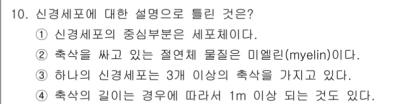 의공산업기사 2019년 10번 - 신경세포는 축삭에서 최소 3개의 분지점을 가지며, 이는 신호 전달에 있어... 에 관한 핵심 기출문제