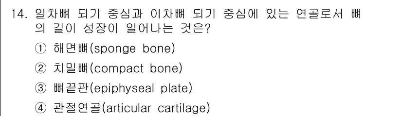 의공산업기사 2019년 14번 - 해당 자격증의 핵심 개념을 묻는 객관식 문제