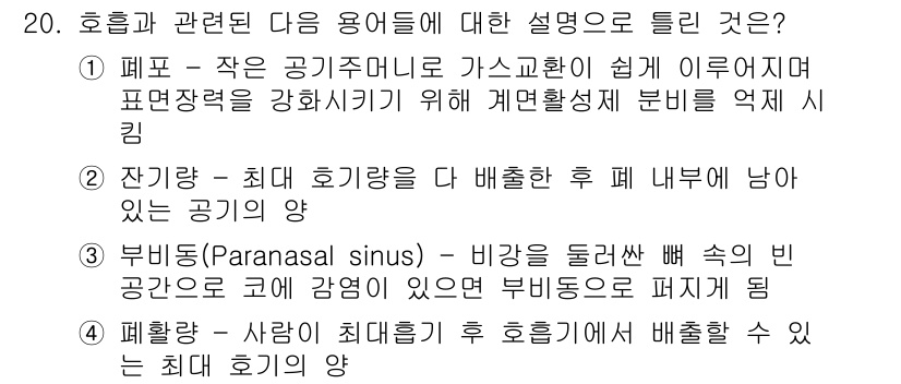 의공산업기사 2019년 20번 - 1. 폐포는 가스 교환이 이루어지는 곳으로, 산소와 이산화탄소의 교환이 ... 에 관한 핵심 기출문제