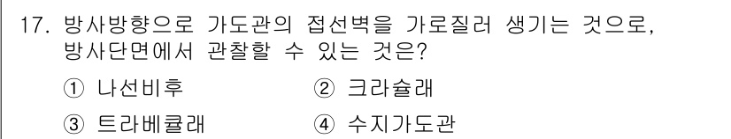 임산가공기능사 2015년 17번 - 정답은 ③ 수지 가도관입니다. 수지 가도관은 방사 방향으로 기도관의 접선... 에 관한 핵심 기출문제