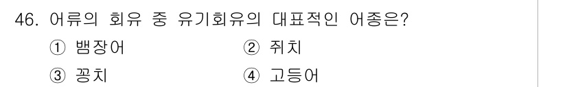 어로산업기사 2019년 46번 - 정답은 1번인 뱅장어입니다. 뱅장어는 대표적인 어류 중 하나로, 유기횟유... 에 관한 핵심 기출문제