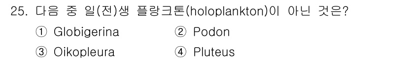 해양환경기사 2015년 25번 - 정답은 4. Pluteus입니다. Pluteus는 유생 형태로, 완전한 ... 에 관한 핵심 기출문제