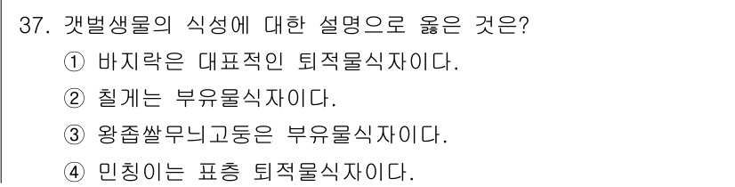 해양환경기사 2018년 37번 - 민치는 대표적인 퇴적물식물로, 해양환경에서 중요한 역할을 하며 바다의 건... 에 관한 핵심 기출문제