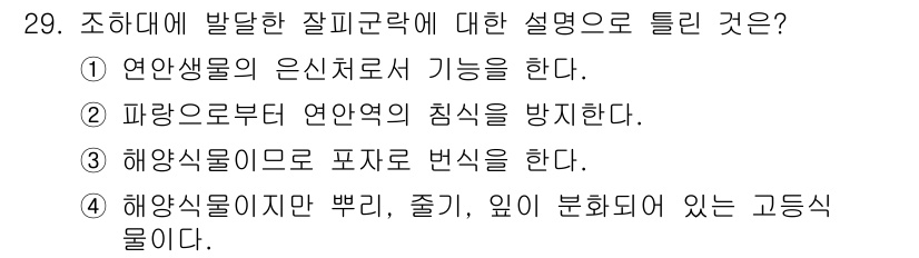 해양환경기사 2019년 29번 - 해양식물은 해양 생태계에서 중요한 역할을 하며, 이를 통해 해양의 구조와... 에 관한 핵심 기출문제