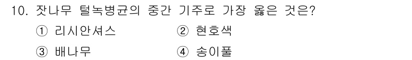 식물보호산업기사 2019년 10번 - 정답은 4번 송이풀입니다. 송이풀은 잣나무 탈락병균의 주요 숙주로 알려져... 에 관한 핵심 기출문제