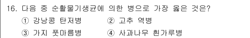 식물보호산업기사 2019년 16번 - . 사과나무 흰가루병  
사과나무 흰가루병은 기생균에 의해 발생하며, 증... 에 관한 핵심 기출문제