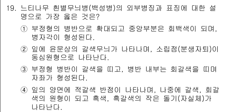 식물보호산업기사 2019년 19번 - 해설: 부정적 병반의 확산으로 인해 식물의 조직이 변형되며, 병원체가 증... 에 관한 핵심 기출문제