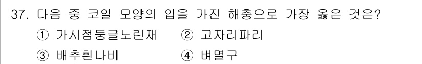식물보호산업기사 2019년 37번 - 정답은 3번 배추흰나비입니다. 배추흰나비는 배추, 무 등 여러 십자화과 ... 에 관한 핵심 기출문제