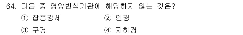식물보호산업기사 2019년 64번 - . 잔종강세  
해설: 잔종강세는 영양변식의 원리와 관련이 없으며, 주로... 에 관한 핵심 기출문제