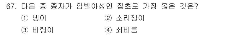 식물보호산업기사 2019년 67번 - . 냉이  
냉이는 암발아성 잡초로, 뿌리에서 새싹이 발생하여 낮은 온도... 에 관한 핵심 기출문제