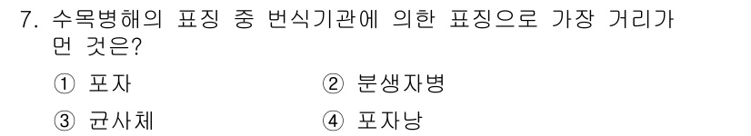 식물보호산업기사 2019년 7번 - 정답은 3번 '군체'입니다. 수목병해의 분식이란 병원체가 식물의 군체에서... 에 관한 핵심 기출문제