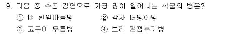 식물보호산업기사 2019년 9번 - . 변형위염병

정답인 이유: 변형위염병은 수공감염을 통해 전파되는 주요... 에 관한 핵심 기출문제