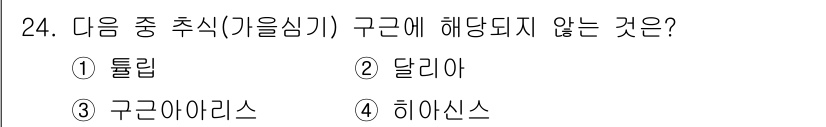 조경산업기사 2019년 24번 - 구근에 해당되지 않는 것은 2번 달리아입니다. 달리아는 줄기와 잎이 발달... 에 관한 핵심 기출문제