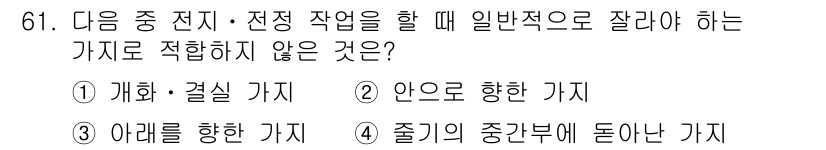 조경산업기사 2019년 62번 - . 줄기의 중간부에 돌아난 가지는 줄기에서 나오는 가지가 아니라, 줄기의... 에 관한 핵심 기출문제