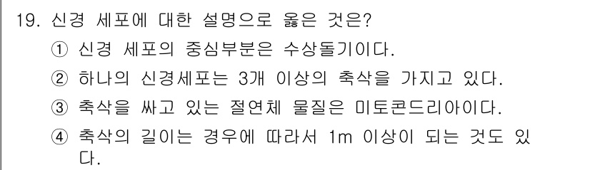 의공기사 2019년 19번 - 신경 세포의 주요 구성 요소는 세포체, 축삭, 수상돌기로, 축삭은 신경 ... 에 관한 핵심 기출문제