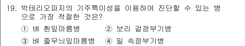 식물보호기사 2019년 19번 - . 박데리오파지의 가족 특성을 활용하여 진단할 수 있는 병으로는 버 힐액... 에 관한 핵심 기출문제