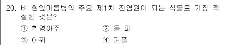 식물보호기사 2019년 20번 - 정답은 4번 '거풀'입니다. 거풀은 버 힘회미름병의 주요 제1차 전염원으... 에 관한 핵심 기출문제