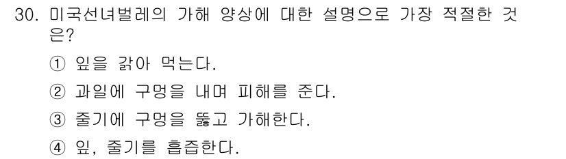 식물보호기사 2019년 30번 - 미국선녀벌레는 일반적으로 과일이나 잎을 흡즙하는 해충으로 알려져 있습니다... 에 관한 핵심 기출문제