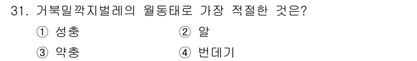 식물보호기사 2019년 31번 - 정답은 1. 성충입니다. 가부밀깎지벌레는 성충 상태에서 가장 많은 피해를... 에 관한 핵심 기출문제