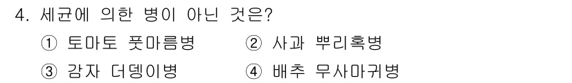 식물보호기사 2019년 4번 - 새균에 의한 병이 아닌 것은 4번 '배추 무시마귀병'입니다. 이 병은 곤... 에 관한 핵심 기출문제