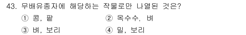 식물보호기사 2019년 43번 - 무배유종자에 해당하는 작물은 "콩, 팥"입니다. 이들은 종자 내 유배유가... 에 관한 핵심 기출문제