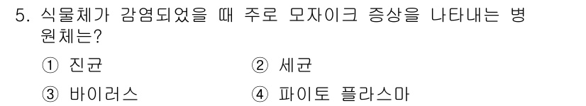 식물보호기사 2019년 5번 - 정답은 3번 바이러스입니다. 식물체가 감염되었을 때 바이러스가 주로 모자... 에 관한 핵심 기출문제