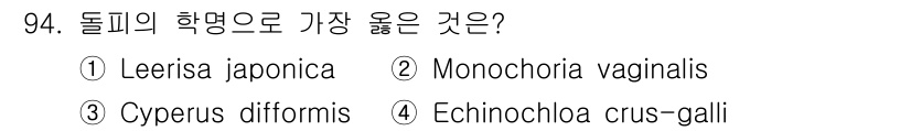식물보호기사 2019년 94번 - 정답은 4번 Echinocloa crus-galli입니다. 돌피의 학명은... 에 관한 핵심 기출문제