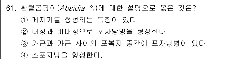 식품산업기사(구) 2019년 61번 - 활텔곰팡이(Absidia)는 아균 및 가균 사이의 포복증 중간에 위치하여... 에 관한 핵심 기출문제