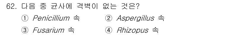 식품산업기사 2019년 62번 - . Rhizopus 속은 진균류 중에서 주로 자연계에 존재하며, 주로 발... 에 관한 핵심 기출문제