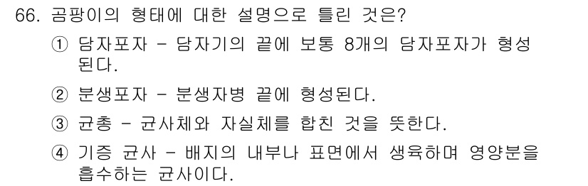 식품산업기사 2019년 66번 - . 

당소파자는 당자의 끝에 보통 8개의 당자포자가 형성되어 특유의 구... 에 관한 핵심 기출문제