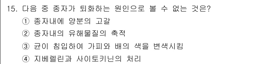 종자산업기사 2019년 15번 - 정답 4번은 "지배렐린과 사이토키닌의 처리"입니다. 종자가 퇴화하는 원인... 에 관한 핵심 기출문제