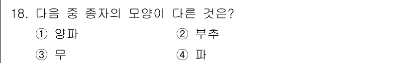 종자산업기사 2019년 18번 - 정답은 3번 '무'입니다. 양파, 부추, 파는 모두 Allium 속에 속... 에 관한 핵심 기출문제
