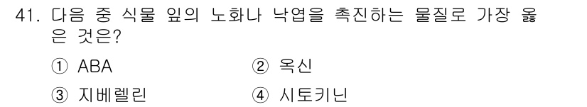 종자산업기사 2019년 41번 - . ABA  
ABA(아브시스산)는 식물에서 노화 및 낙엽을 촉진하는 호... 에 관한 핵심 기출문제