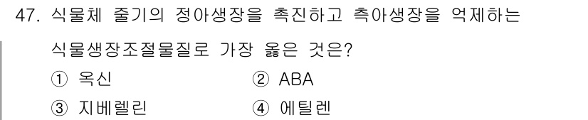 종자산업기사 2019년 47번 - 해당 자격증의 핵심 개념을 묻는 객관식 문제
