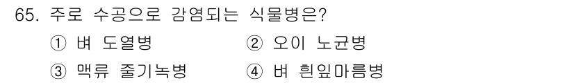 종자산업기사 2019년 65번 - 정답 4번, 버 힌이질병입니다. 이 병은 주로 수공으로 감염되며, 특히 ... 에 관한 핵심 기출문제
