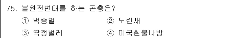 종자산업기사 2019년 75번 - 불완전 변태를 하는 고충종은 2번 노란재입니다. 노란재는 불완전 변태를 ... 에 관한 핵심 기출문제