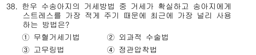축산산업기사 2019년 38번 - 정답은 2번 외과적 수술법입니다. 이는 송아지의 스트레스를 최소화하기 위... 에 관한 핵심 기출문제