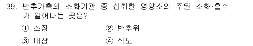 축산산업기사 2019년 39번 - 소화 효소는 주로 소장과 대장에서 분비되며, 반추위에서는 주로 미생물에 ... 에 관한 핵심 기출문제
