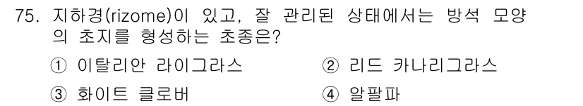 축산산업기사 2019년 75번 - 정답은 2. 리드 카니그래스를 초종으로 하는 이유는, 이 식물이 지하경을... 에 관한 핵심 기출문제