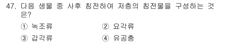 해양조사산업기사 2017년 47번 - 정답은 4번 유공충이다. 유공충은 해양 생태계에서 중요한 먹이망을 형성하... 에 관한 핵심 기출문제