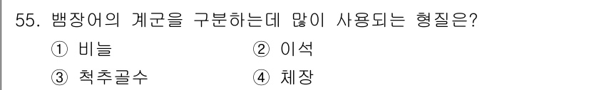 해양조사산업기사 2017년 55번 - 정답은 3번, 척추골수입니다. 배경장애는 생물의 발생과 구조를 이해하는 ... 에 관한 핵심 기출문제