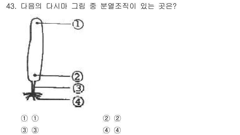 해양조사산업기사 2018년 43번 - 정답 2번은 다시마의 특징적인 분열조직인 '유관속 조직'을 포함하고 있습... 에 관한 핵심 기출문제