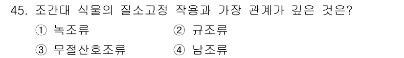 해양조사산업기사 2019년 45번 - 정답은 4번, 남름류입니다. 조간대 식물에서 물의 염도와 깊은 연관을 맺... 에 관한 핵심 기출문제