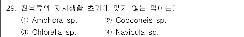 수산양식기사 2019년 29번 - Chlorella sp.는 녹조류로, 전복류의 저서생활과 직접적인 연관이... 에 관한 핵심 기출문제