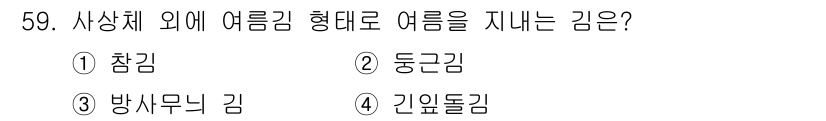 수산양식기사 2019년 59번 - 정답은 2. 등근김입니다. 등근김은 여름철에 자생적으로 자주 나타나며, ... 에 관한 핵심 기출문제