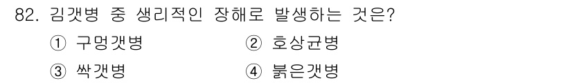 수산양식기사 2019년 82번 - 김갯병은 해수의 오염이나 환경 변화에 의해 발생하는 질병으로, 주로 해양... 에 관한 핵심 기출문제