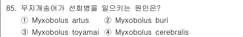 수산양식기사 2019년 85번 - 정답은 4) Myxobolus cerebralis입니다. 이 원충은 무지... 에 관한 핵심 기출문제