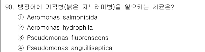 수산양식기사 2019년 90번 - 정답은 2번 Aeromonas hydrophila입니다. 이 세균은 수산... 에 관한 핵심 기출문제