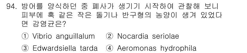 수산양식기사 2019년 94번 - 정답은 2번 Nocardia seriolae이다. Nocardia는 해양... 에 관한 핵심 기출문제